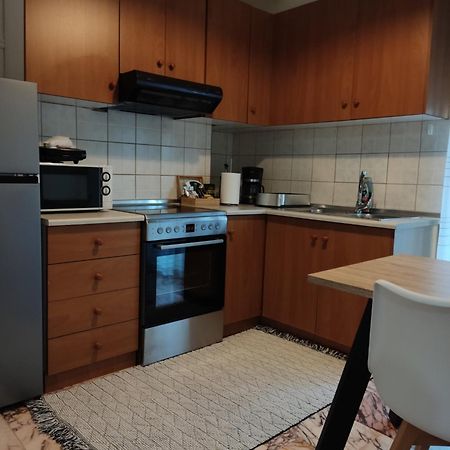 Andreou Apartment 约阿尼纳 外观 照片